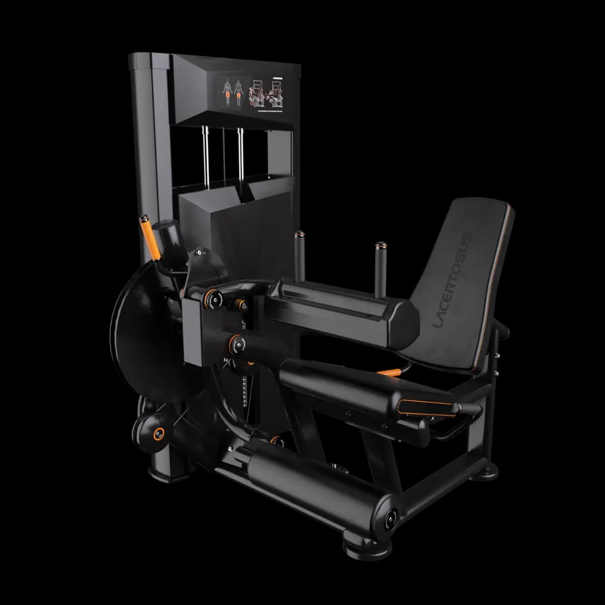 Leg Extension / Leg Curl